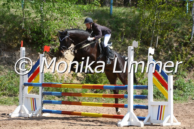 004M1940_Jack Pot_Springpferde A xx.JPG